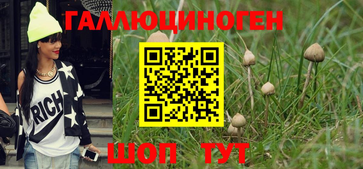 Шахты  Галлюциногенные грибы Psilocybe  Вход с VPN 